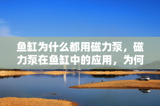 鱼缸为什么都用磁力泵，磁力泵在鱼缸中的应用，为何成为首选？
