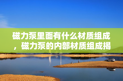 磁力泵里面有什么材质组成，磁力泵的内部材质组成揭秘