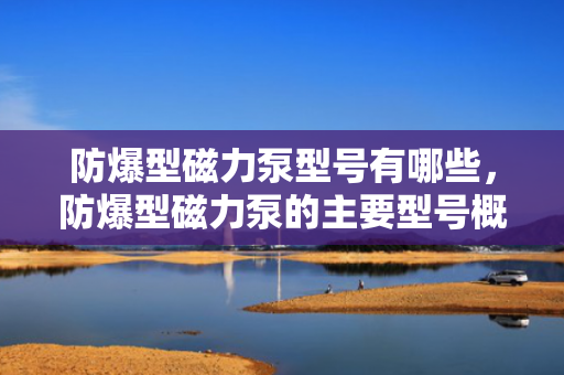 防爆型磁力泵型号有哪些，防爆型磁力泵的主要型号概览