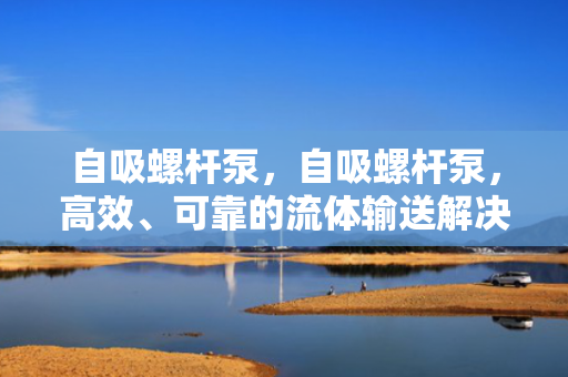自吸螺杆泵，自吸螺杆泵，高效、可靠的流体输送解决方案