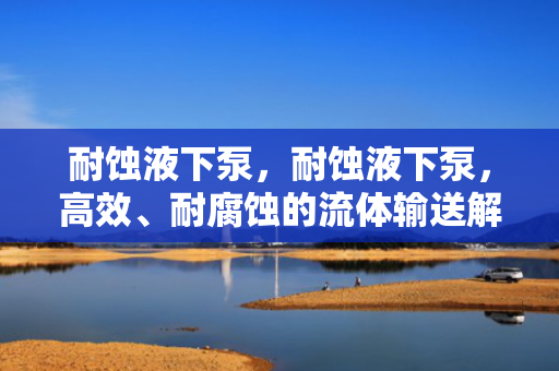 耐蚀液下泵，耐蚀液下泵，高效、耐腐蚀的流体输送解决方案