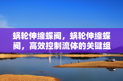 蜗轮伸缩蝶阀，蜗轮伸缩蝶阀，高效控制流体的关键组件