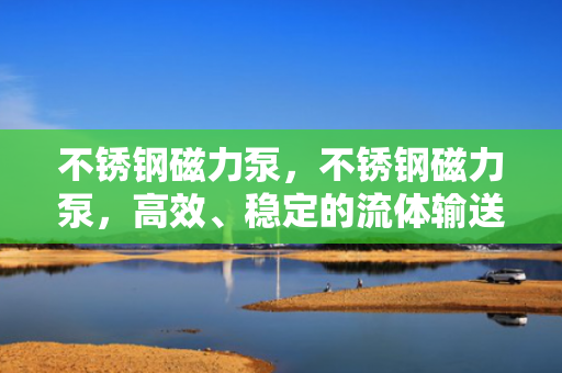不锈钢磁力泵，不锈钢磁力泵，高效、稳定的流体输送解决方案