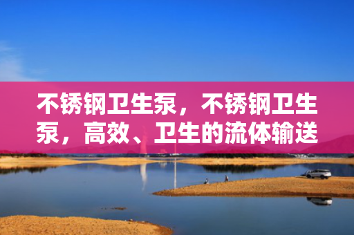 不锈钢卫生泵，不锈钢卫生泵，高效、卫生的流体输送解决方案