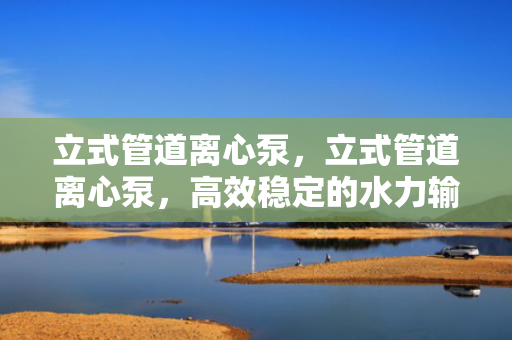 立式管道离心泵，立式管道离心泵，高效稳定的水力输送解决方案
