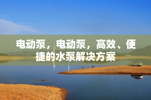 电动泵，电动泵，高效、便捷的水泵解决方案