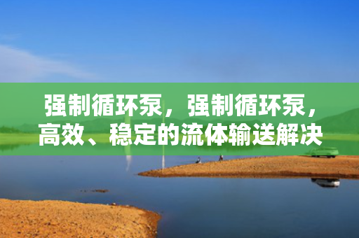 强制循环泵，强制循环泵，高效、稳定的流体输送解决方案
