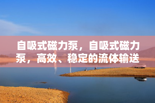 自吸式磁力泵，自吸式磁力泵，高效、稳定的流体输送解决方案
