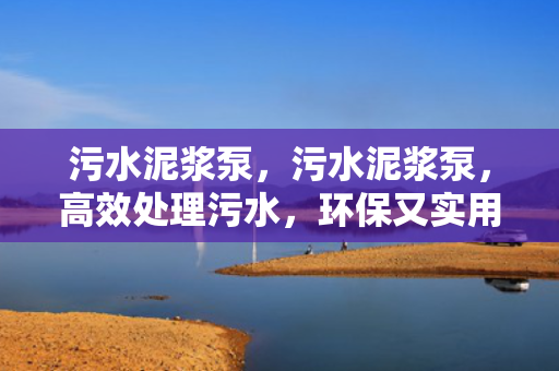 污水泥浆泵，污水泥浆泵，高效处理污水，环保又实用的设备选择