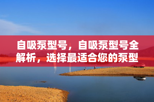 自吸泵型号，自吸泵型号全解析，选择最适合您的泵型