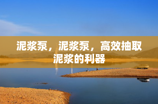 泥浆泵，泥浆泵，高效抽取泥浆的利器