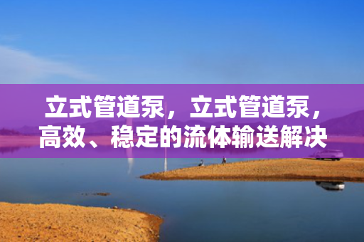 立式管道泵，立式管道泵，高效、稳定的流体输送解决方案