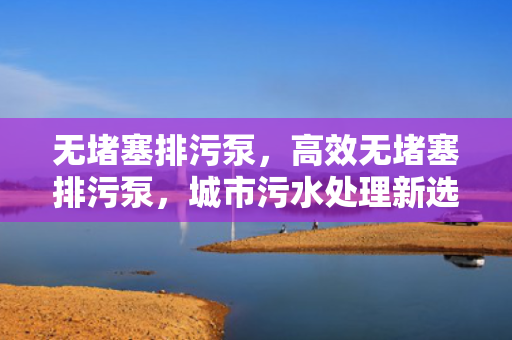 无堵塞排污泵，高效无堵塞排污泵，城市污水处理新选择