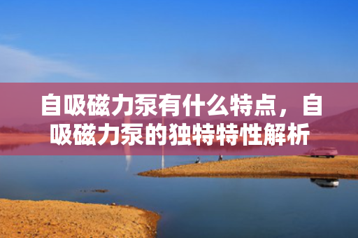 自吸磁力泵有什么特点，自吸磁力泵的独特特性解析