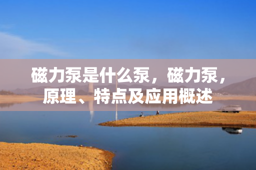 磁力泵是什么泵，磁力泵，原理、特点及应用概述