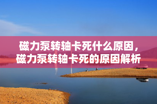 磁力泵转轴卡死什么原因，磁力泵转轴卡死的原因解析