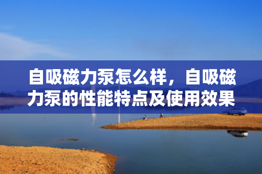 自吸磁力泵怎么样，自吸磁力泵的性能特点及使用效果评析
