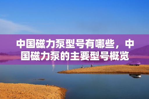 中国磁力泵型号有哪些，中国磁力泵的主要型号概览
