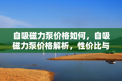 自吸磁力泵价格如何，自吸磁力泵价格解析，性价比与市场行情一览