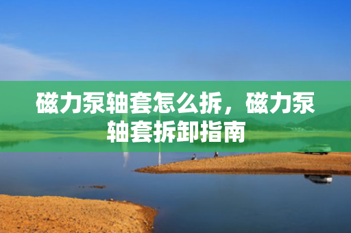 磁力泵轴套怎么拆，磁力泵轴套拆卸指南