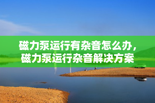 磁力泵运行有杂音怎么办，磁力泵运行杂音解决方案