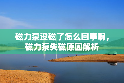 磁力泵没磁了怎么回事啊，磁力泵失磁原因解析