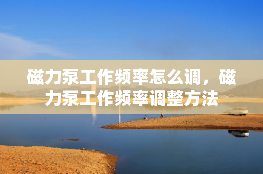 磁力泵工作频率怎么调，磁力泵工作频率调整方法
