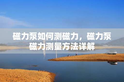 磁力泵如何测磁力，磁力泵磁力测量方法详解