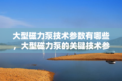 大型磁力泵技术参数有哪些，大型磁力泵的关键技术参数详解