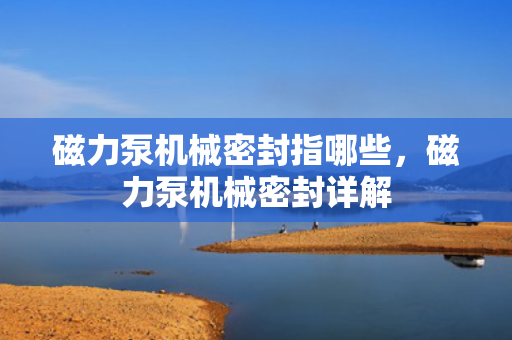 磁力泵机械密封指哪些，磁力泵机械密封详解
