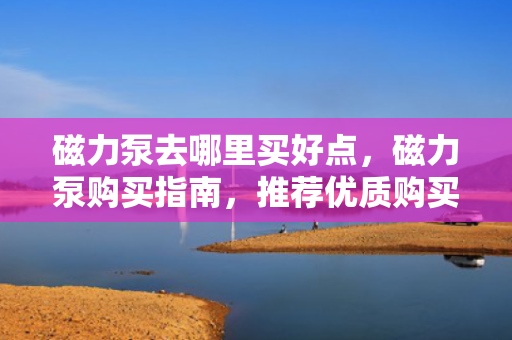 磁力泵去哪里买好点，磁力泵购买指南，推荐优质购买渠道
