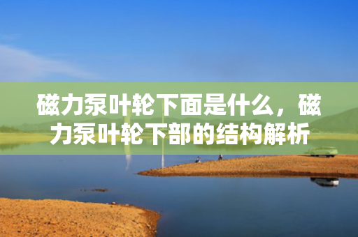 磁力泵叶轮下面是什么，磁力泵叶轮下部的结构解析