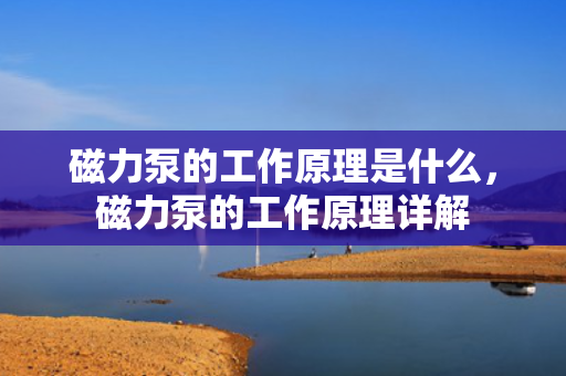磁力泵的工作原理是什么，磁力泵的工作原理详解