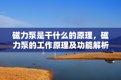磁力泵是干什么的原理，磁力泵的工作原理及功能解析
