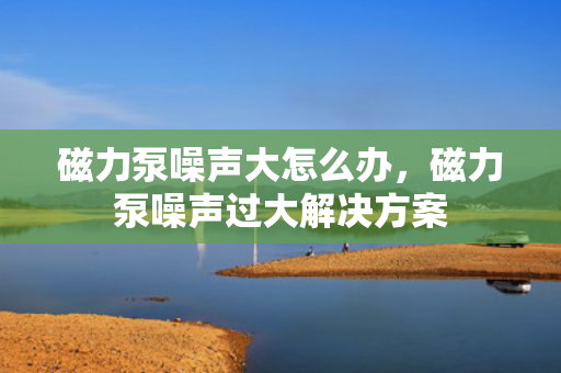 磁力泵噪声大怎么办，磁力泵噪声过大解决方案