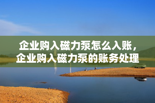 企业购入磁力泵怎么入账，企业购入磁力泵的账务处理及入账方法