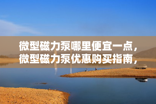 微型磁力泵哪里便宜一点，微型磁力泵优惠购买指南，哪里能找到更便宜的选择？