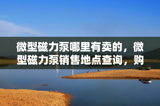 微型磁力泵哪里有卖的，微型磁力泵销售地点查询，购买指南与推荐
