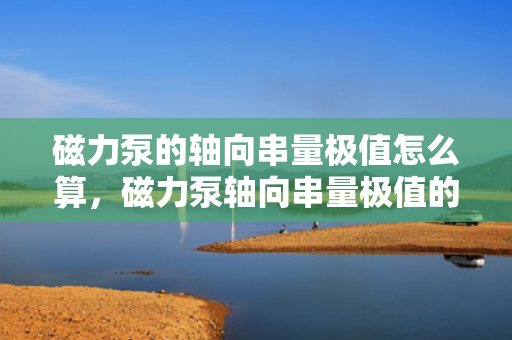 磁力泵的轴向串量极值怎么算，磁力泵轴向串量极值的计算方法