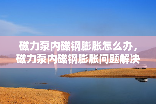 磁力泵内磁钢膨胀怎么办，磁力泵内磁钢膨胀问题解决方案
