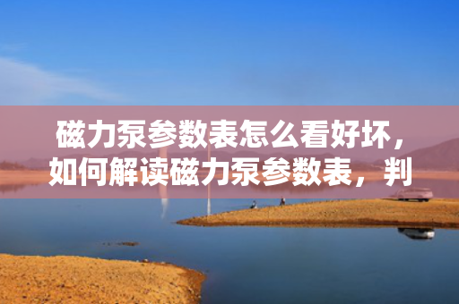 磁力泵参数表怎么看好坏，如何解读磁力泵参数表，判断磁力泵性能优劣的关键指标