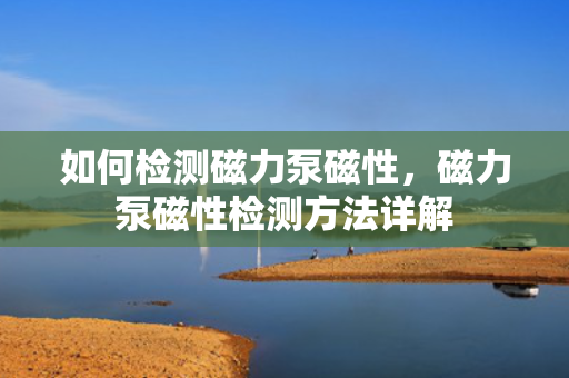 如何检测磁力泵磁性，磁力泵磁性检测方法详解