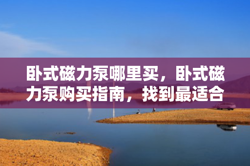 卧式磁力泵哪里买，卧式磁力泵购买指南，找到最适合你的购买渠道