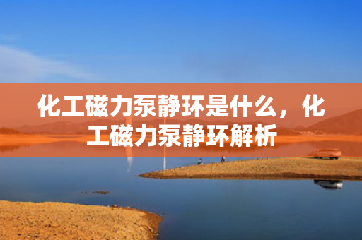 化工磁力泵静环是什么，化工磁力泵静环解析