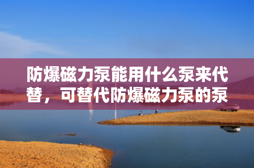 防爆磁力泵能用什么泵来代替，可替代防爆磁力泵的泵种选择