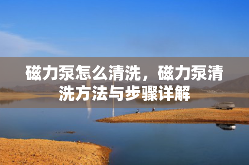 磁力泵怎么清洗，磁力泵清洗方法与步骤详解
