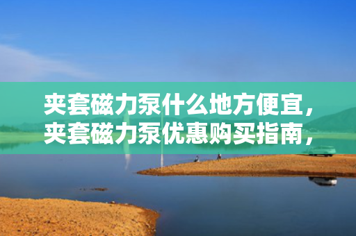 夹套磁力泵什么地方便宜，夹套磁力泵优惠购买指南，寻找性价比高的购买地点