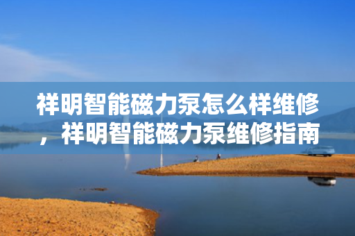 祥明智能磁力泵怎么样维修，祥明智能磁力泵维修指南