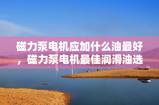 磁力泵电机应加什么油最好，磁力泵电机最佳润滑油选择指南