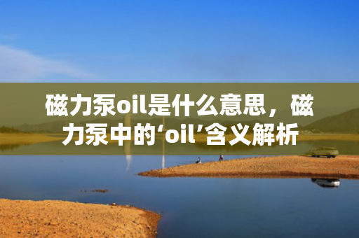 磁力泵oil是什么意思，磁力泵中的‘oil’含义解析